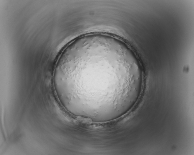 X0000112751505200909101527