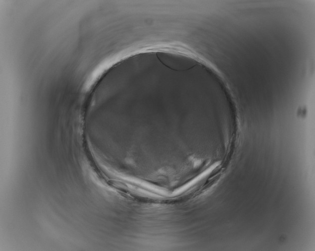 X0000112751506200909101527