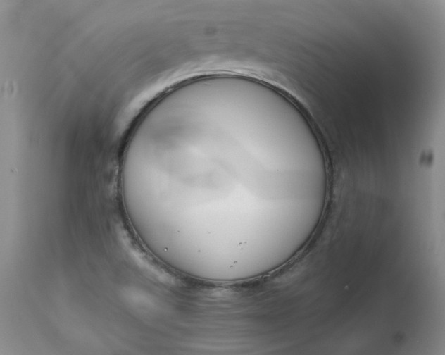 X0000112751507200909101527