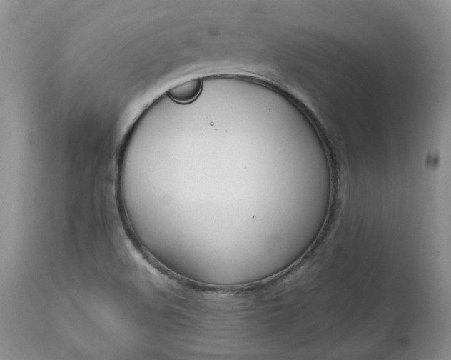 X0000112751508200909101527