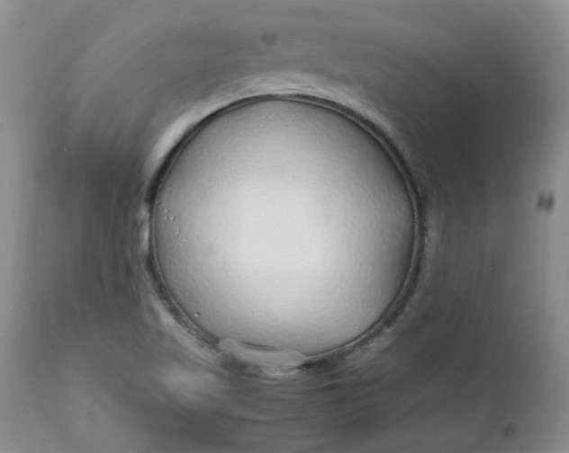 X0000112751509200909101527