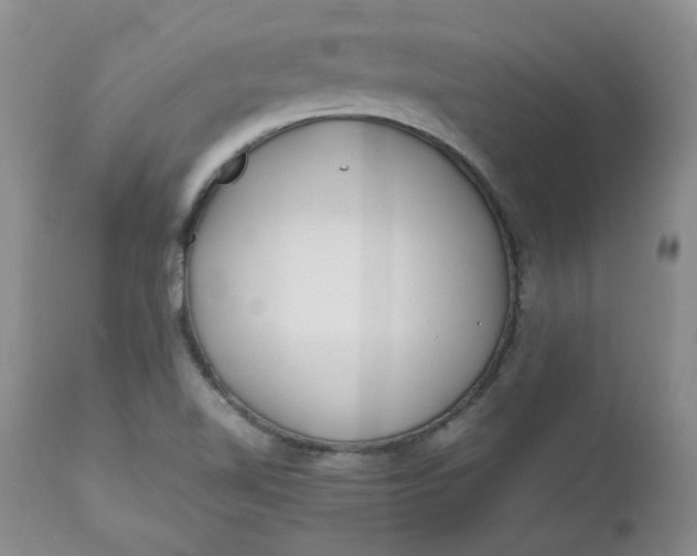 X0000112751510200909101527