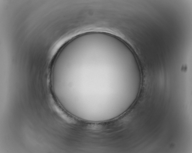 X0000112751511200909101527