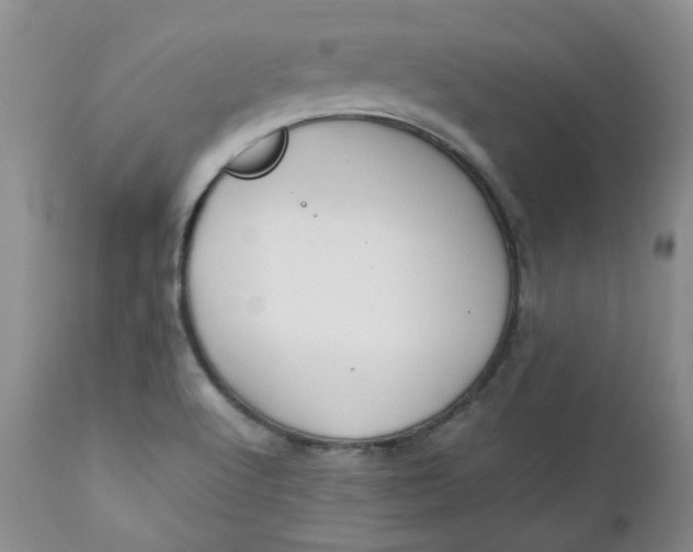 X0000112751512200909101527