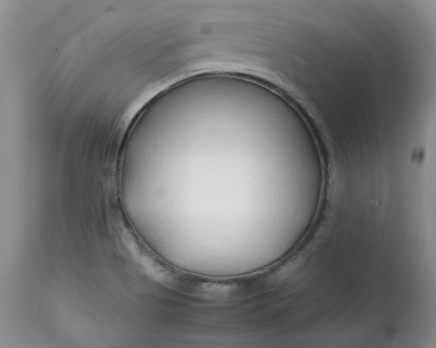 X0000112751513200909101527