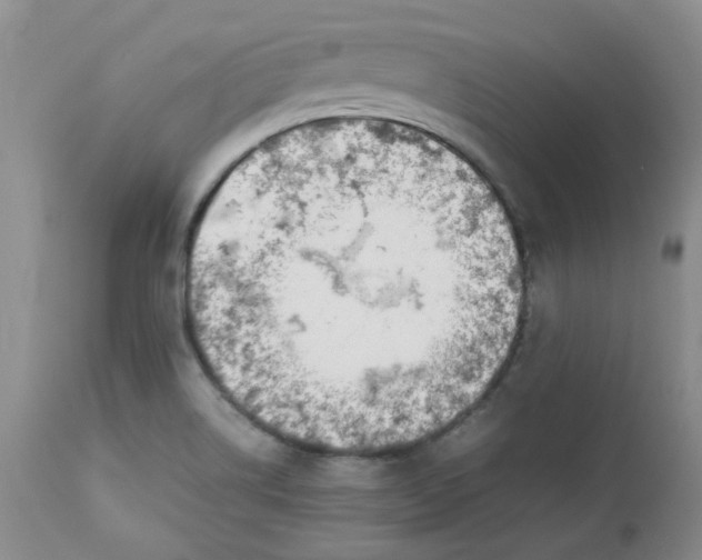 X0000112751514200909101527