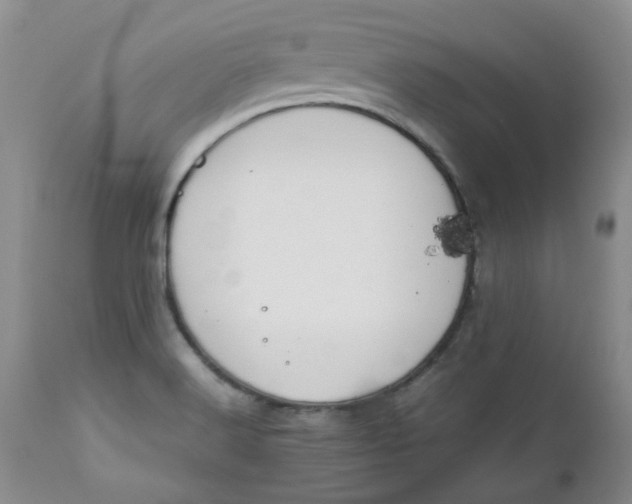 X0000112751516200909101527