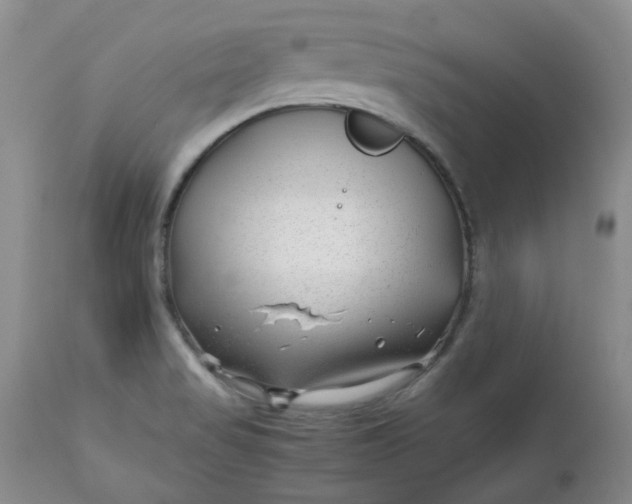 X0000112751517200909101528