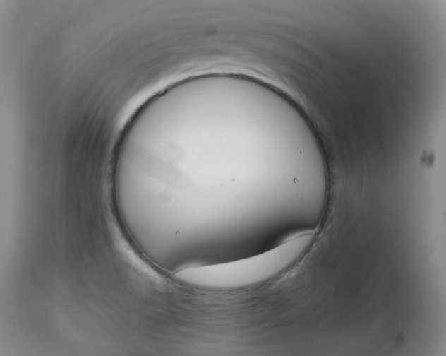 X0000112751518200909101528