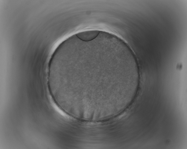 X0000112751519200909101528