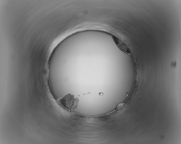 X0000112751520200909101528