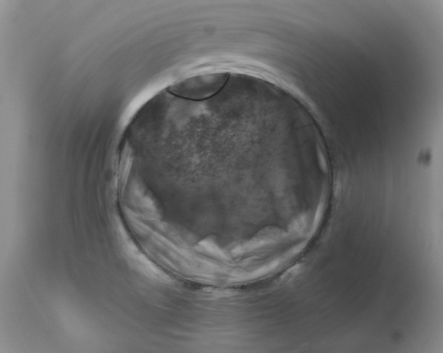 X0000112751522200909101528