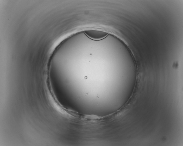 X0000112751523200909101528