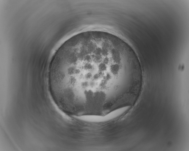 X0000112751525200909101528