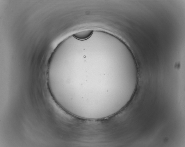 X0000112751526200909101528