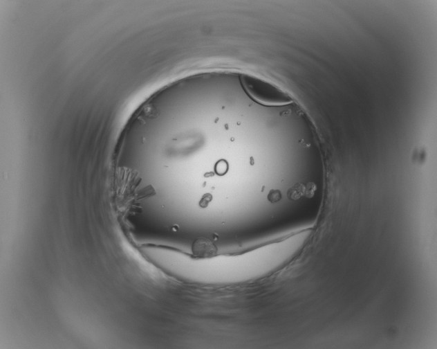 X0000112751527200909101528