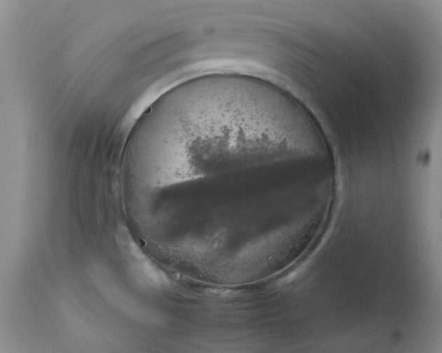 X0000112751529200909101528