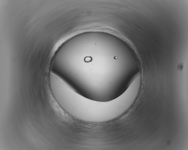 X0000112751530200909101528