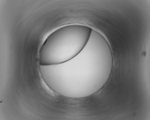 X0000112751532200909101528