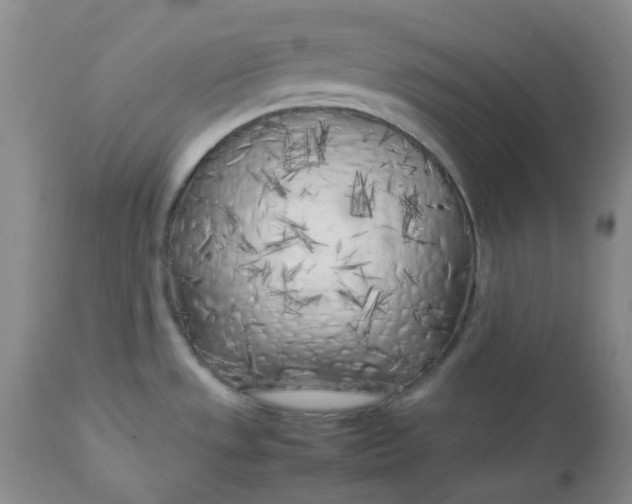 X0000112751533200909101528