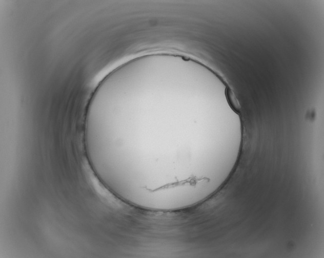 X0000112751534200909101528