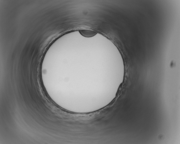 X0000112750001200909171237