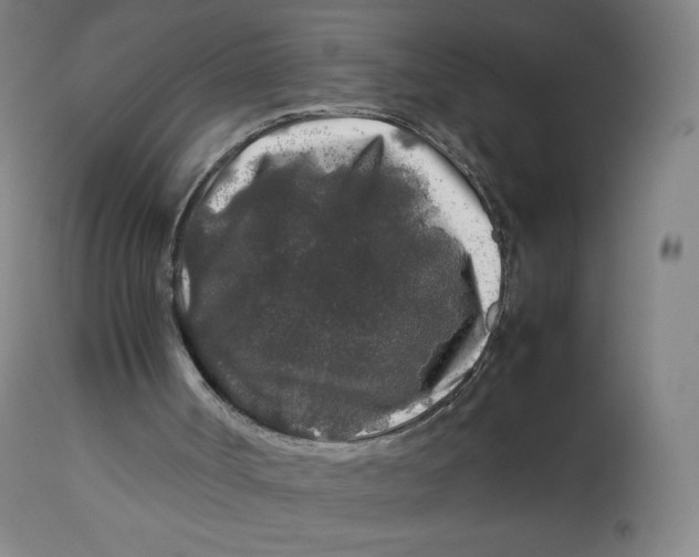 X0000112750002200909171237