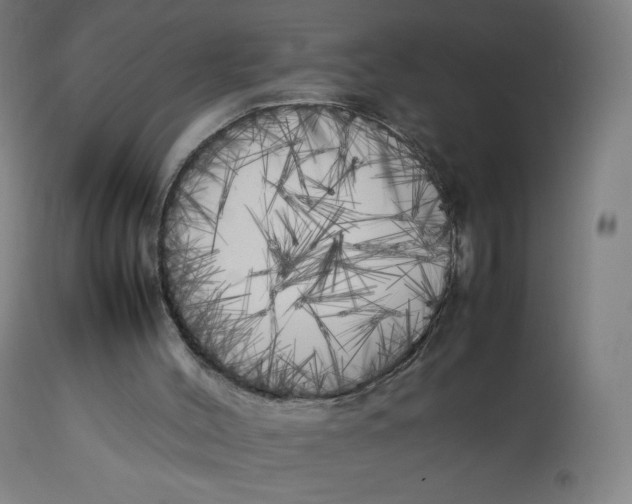 X0000112750004200909171237