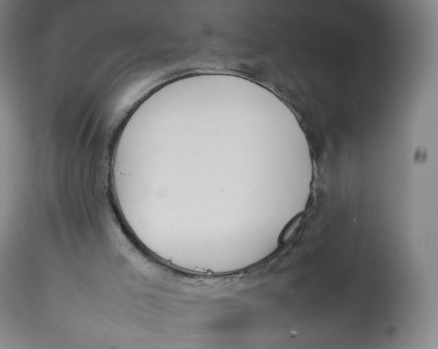 X0000112750005200909171237