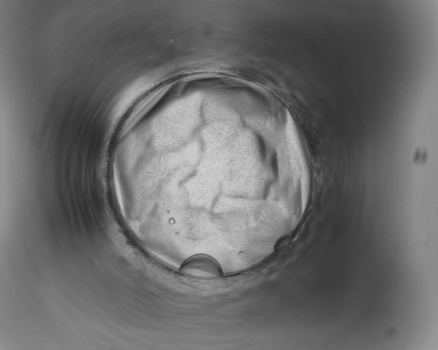 X0000112750006200909171237