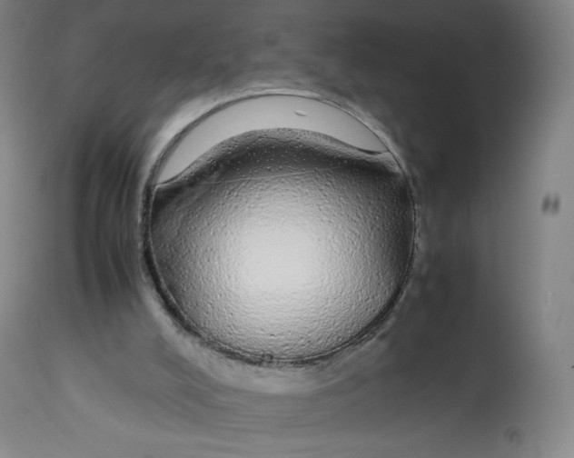 X0000112750008200909171237