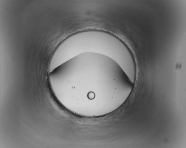 X0000112750009200909171237