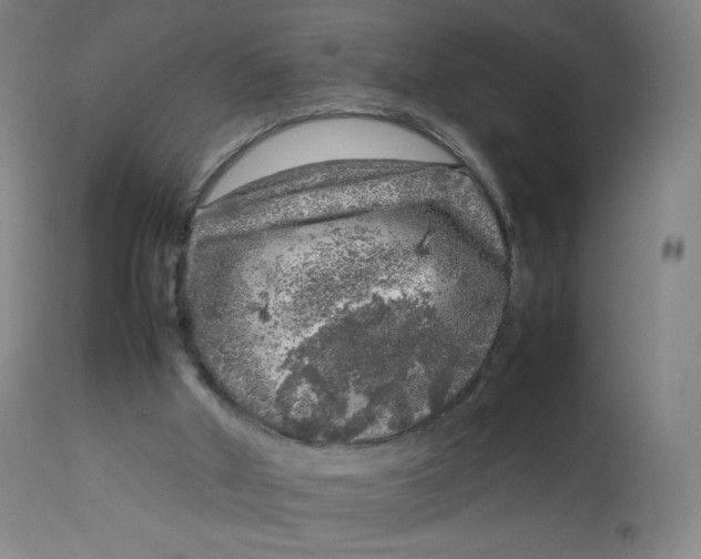 X0000112750010200909171237