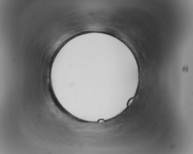 X0000112750011200909171237