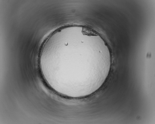 X0000112750012200909171237