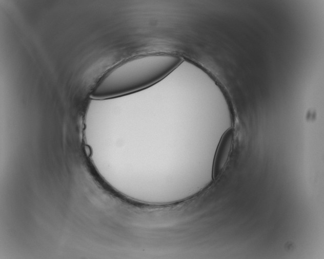 X0000112750013200909171237