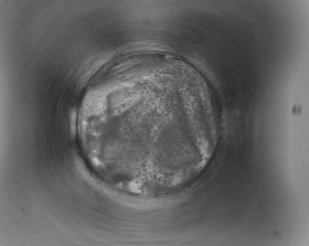 X0000112750014200909171237