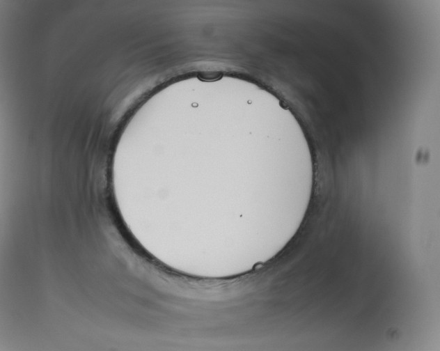 X0000112750015200909171237