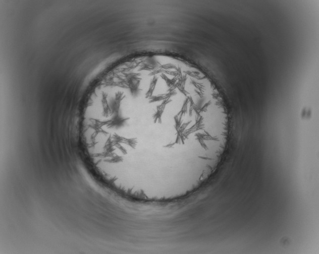 X0000112750016200909171237