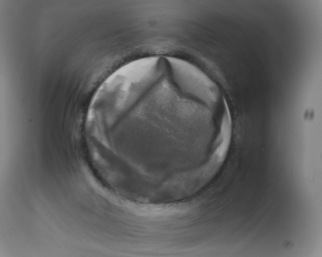 X0000112750018200909171237