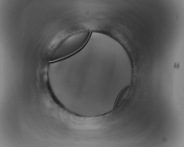 X0000112750019200909171237