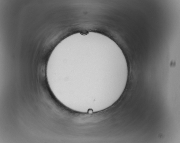 X0000112750021200909171237