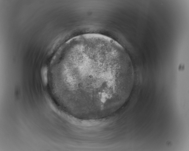 X0000112750022200909171237