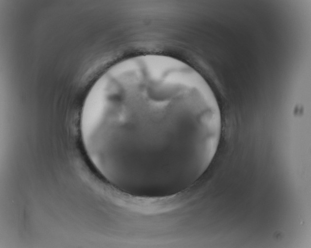 X0000112750023200909171237