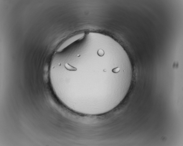 X0000112750024200909171237