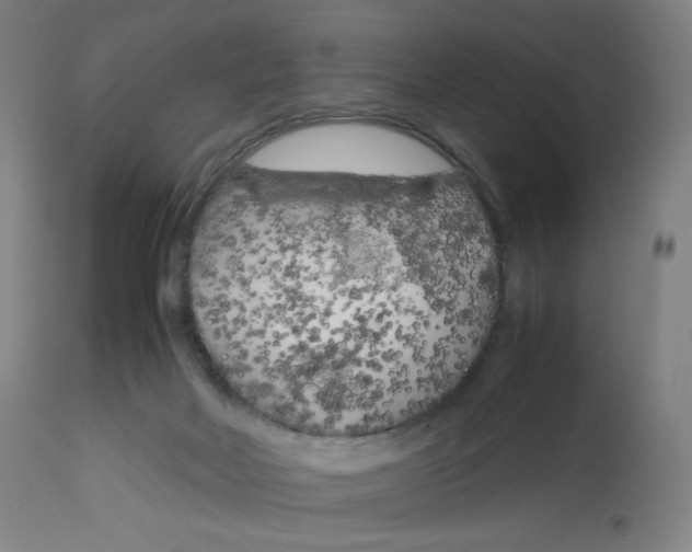 X0000112750026200909171237