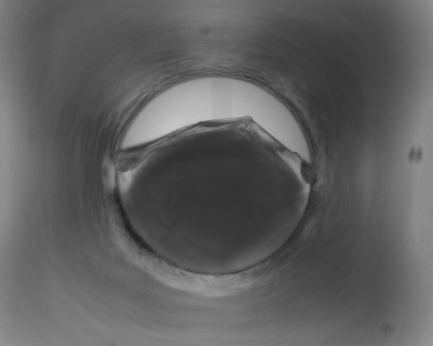 X0000112750027200909171237