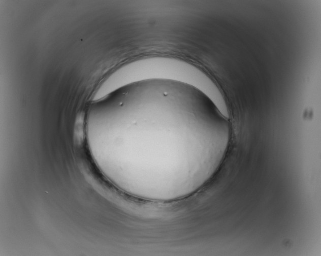 X0000112750028200909171237