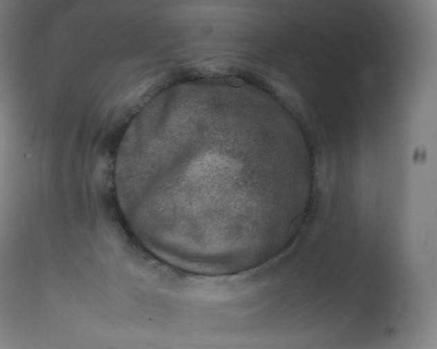 X0000112750029200909171237