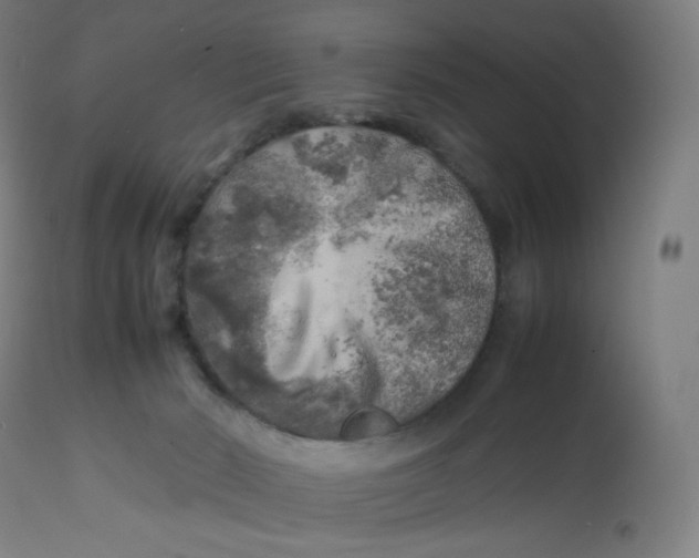 X0000112750030200909171237